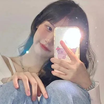 王朝的陷落