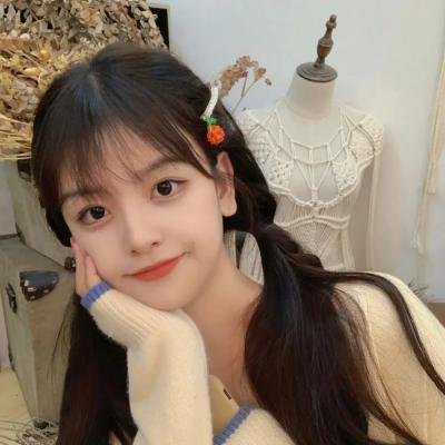 大师的头脑
